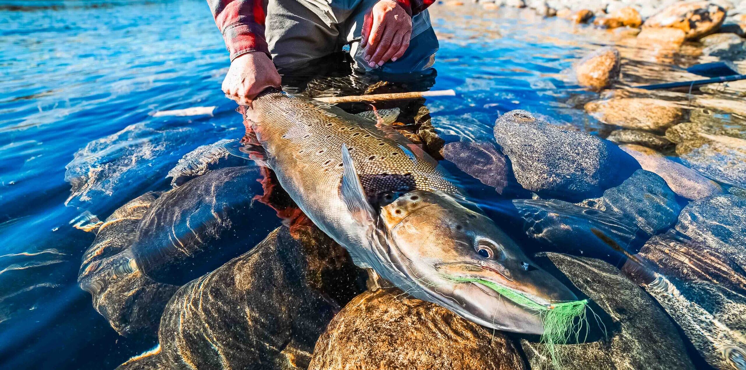 fly fishing trout patagonia bariloche (3 de 3)